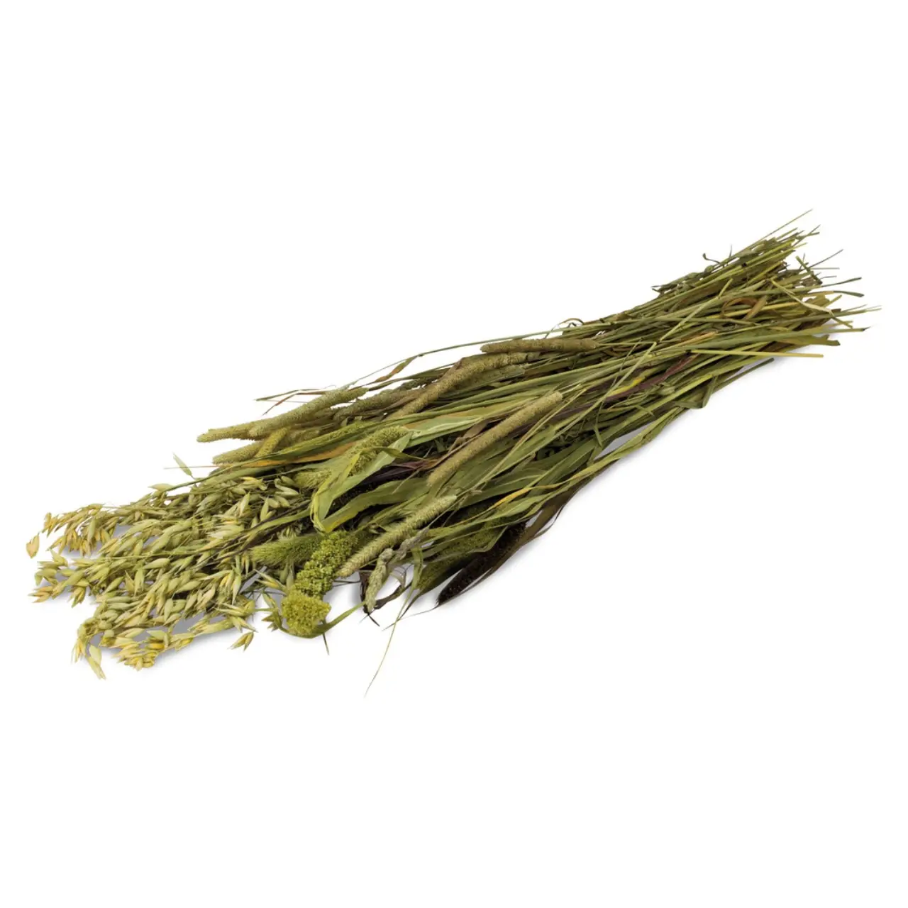 JR Farm Enghøst snack til kanin og marsvin 80 g